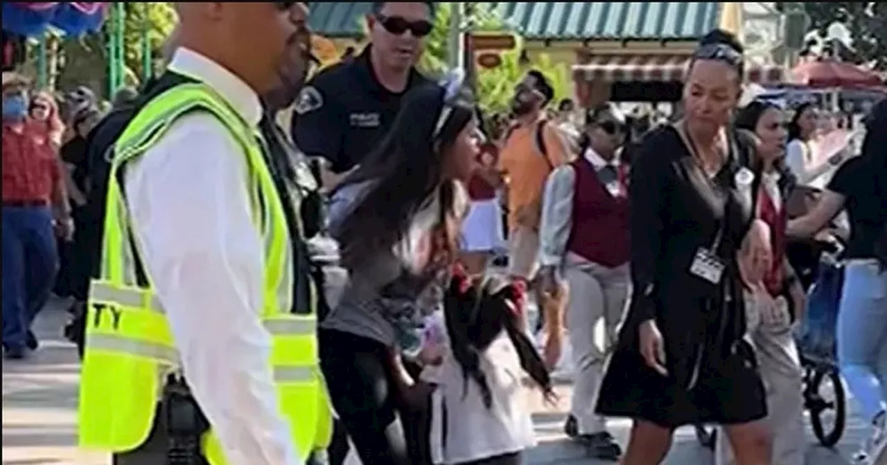 Woman arrested at Disneyland after 'trying to sneak kids in for free'