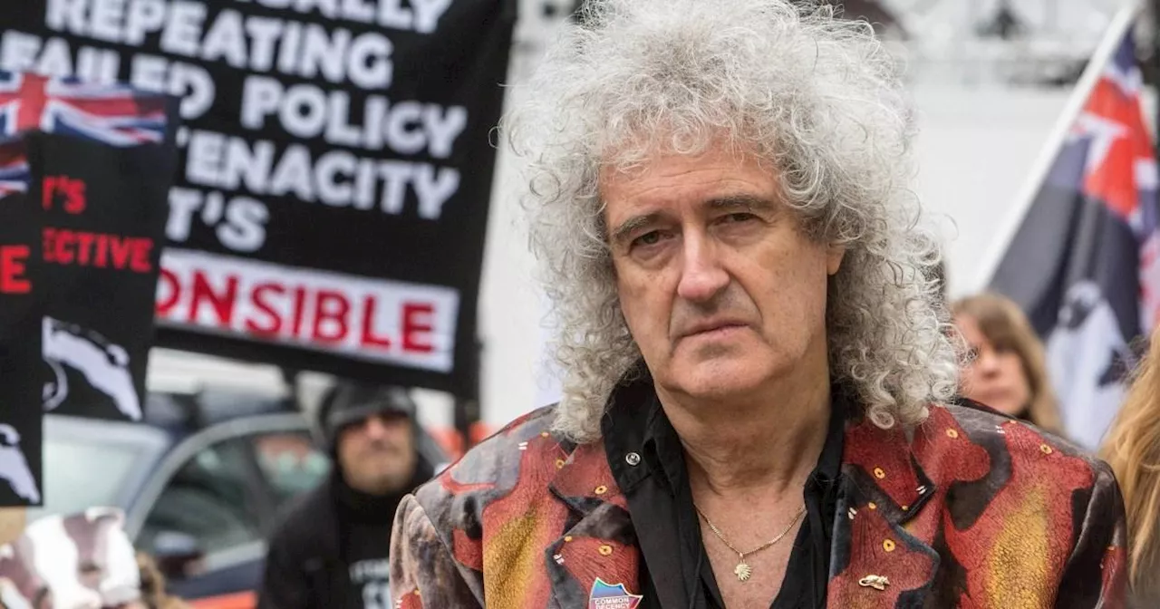 Sir Brian May Resigns From RSPCA Role Over 'Farm Conditions' Concerns