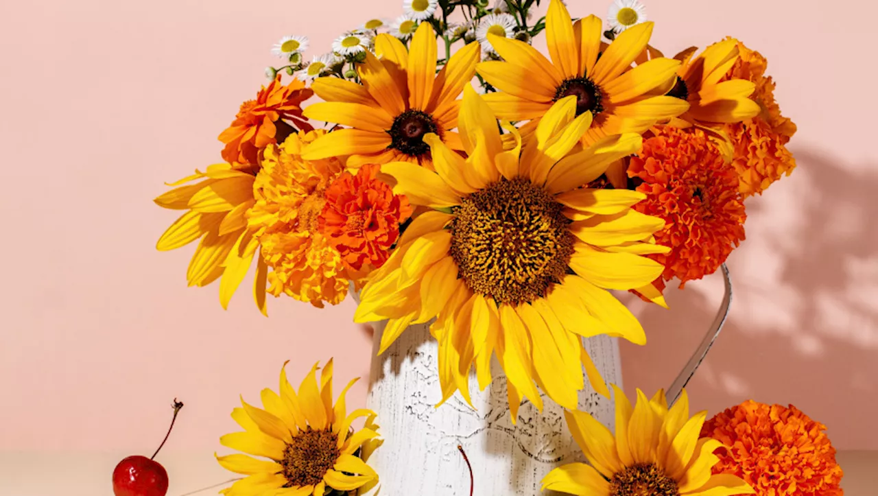 Pour un automne fleuri, optez pour un de ces bouquets à moins de 40 €