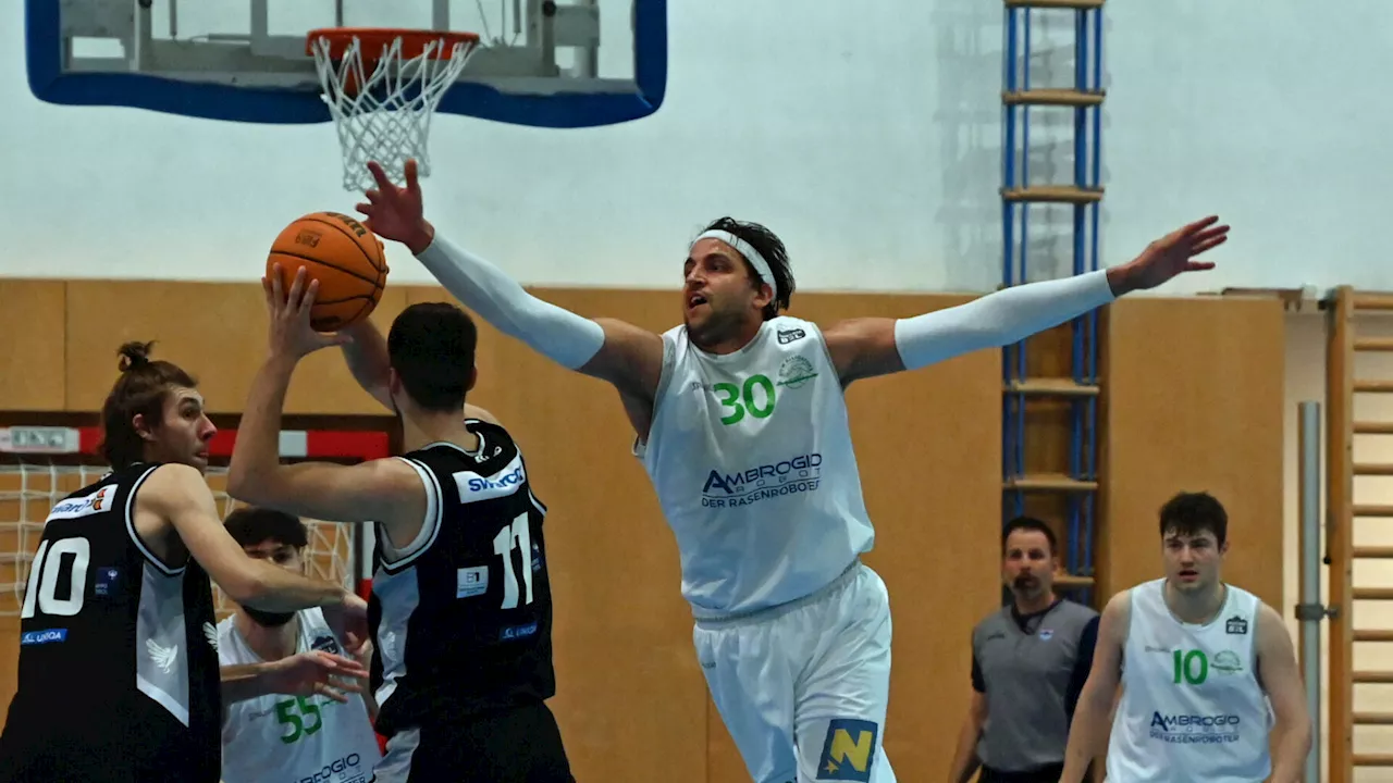 Basketball-Saisonstart: „Alligatoren“ wollen wieder ins Finale