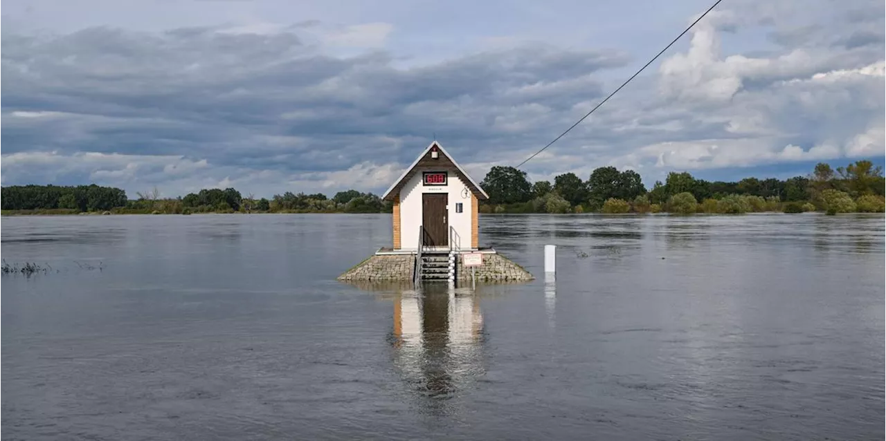 Hochwasser h&auml;lt Oder-Regionen in Alarmbereitschaft