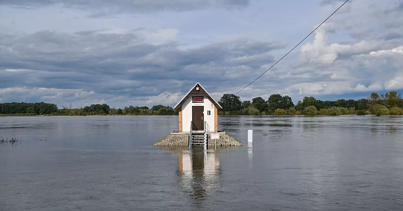 Hochwasser hält Oder-Regionen in Alarmbereitschaft