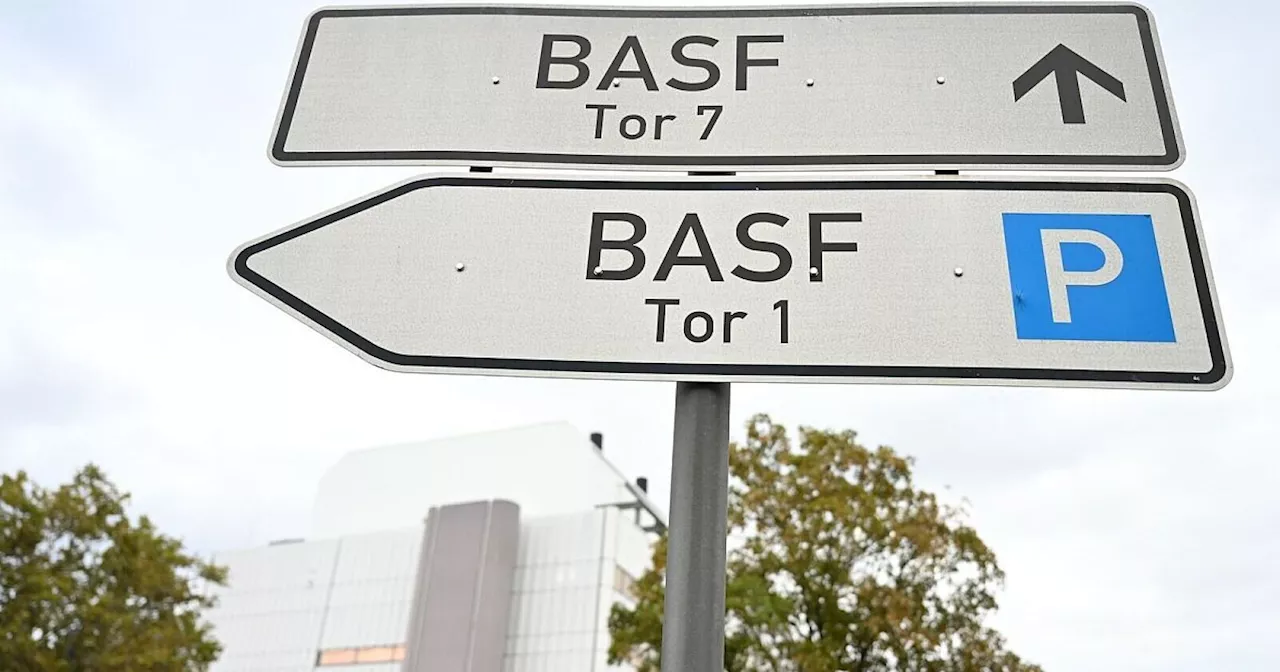 Neuer BASF-Chef greift durch: Umbau und weniger Dividende