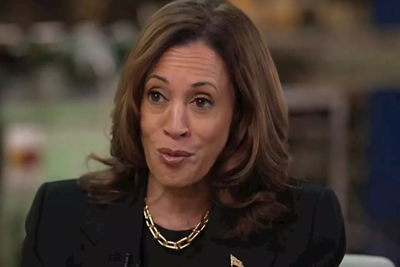 Kamala Harris roasted for latest 'word salad' during softball MSNBC interview