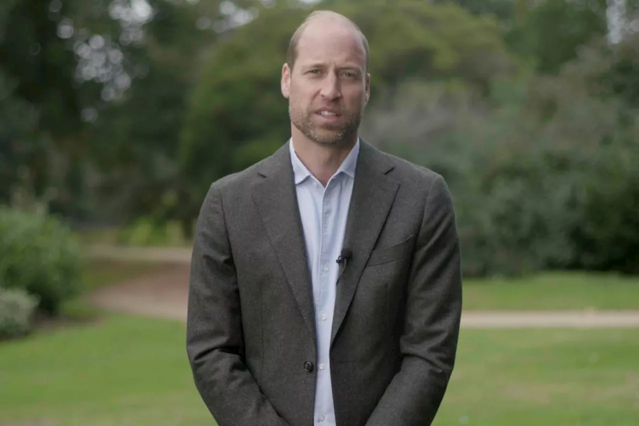 Prince William Urges World Leaders at UN for Key Cause Hours After Prince Harry’s Appearance