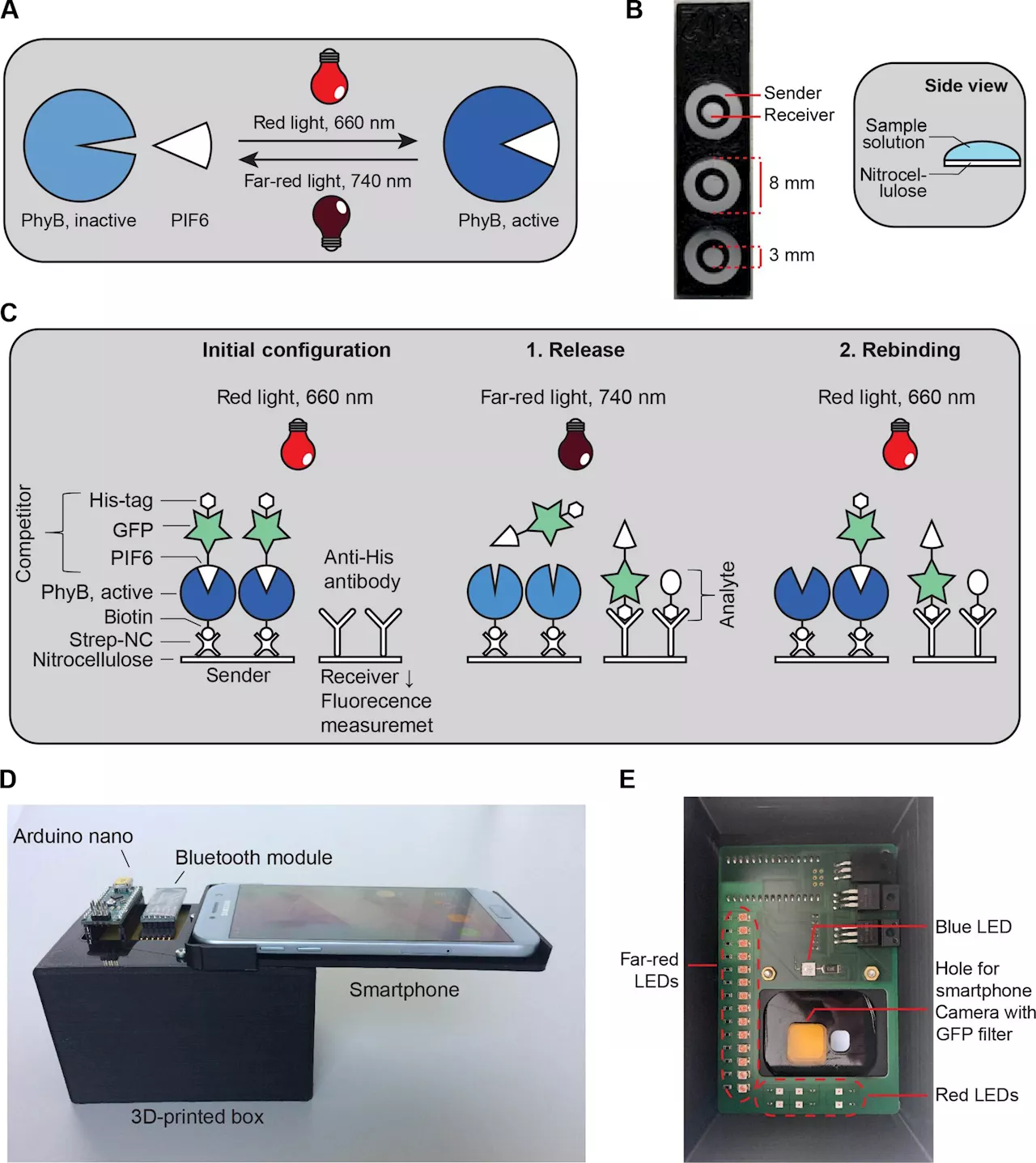 Light-controlled bioassays could diagnose diseases more easily and cost effectively