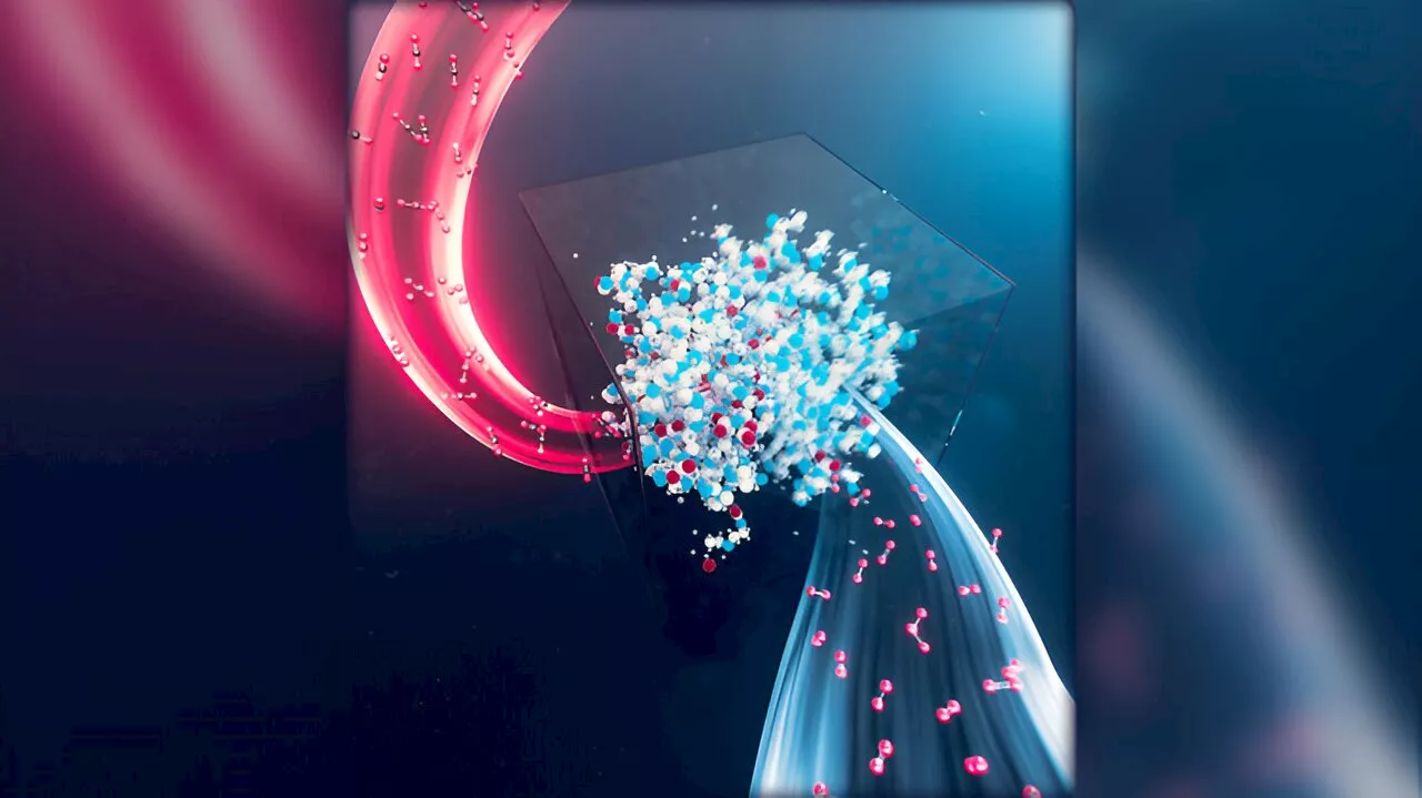 New research could extend the lifetime of key carbon-capture materials