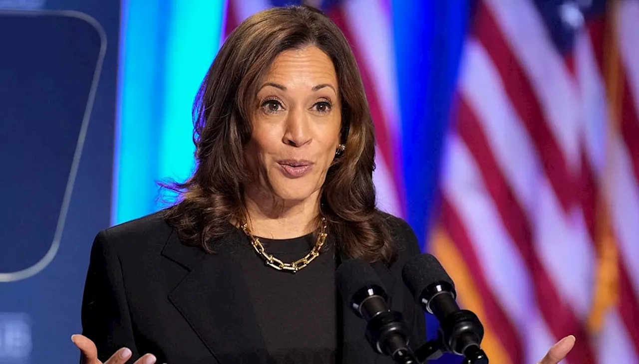 Live fact-checking Kamala Harris’ MSNBC interview