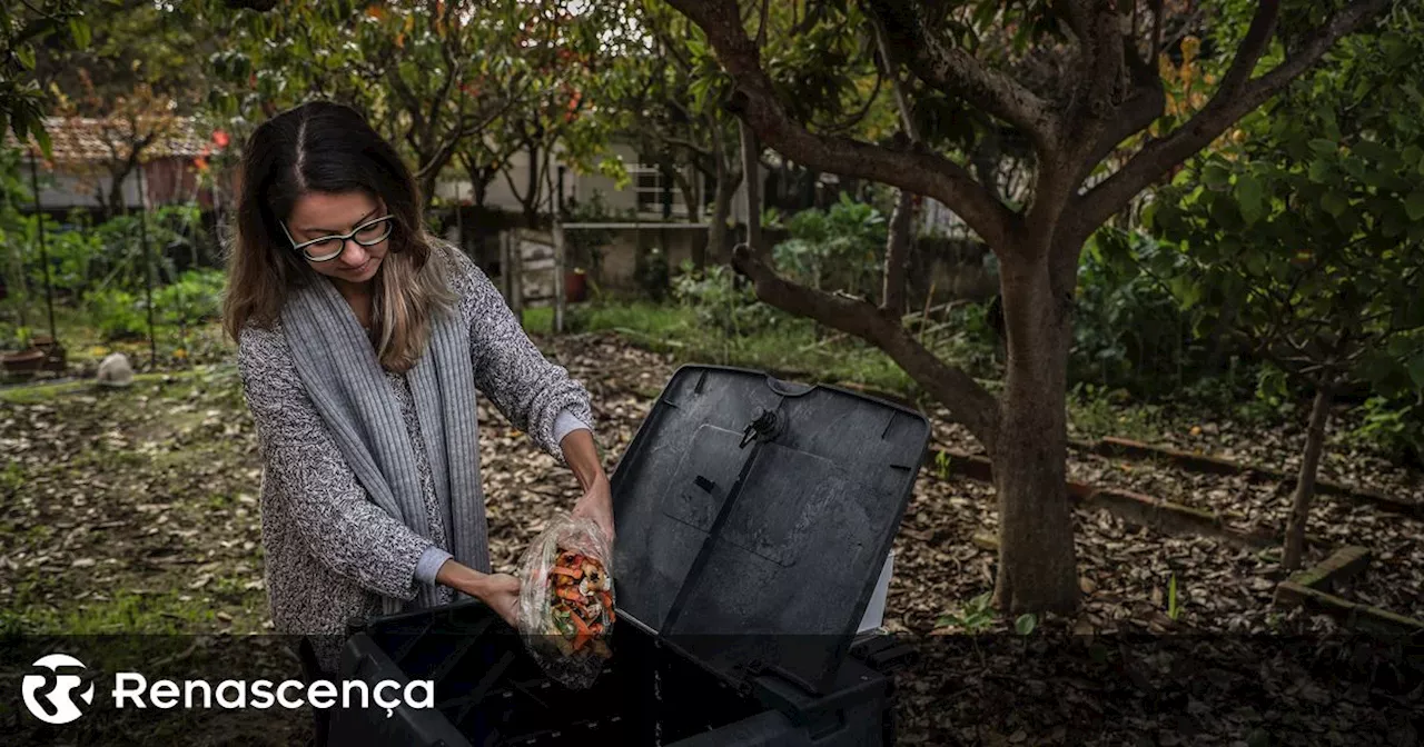 Albergaria-a-Velha cria segunda horta biológica comunitária