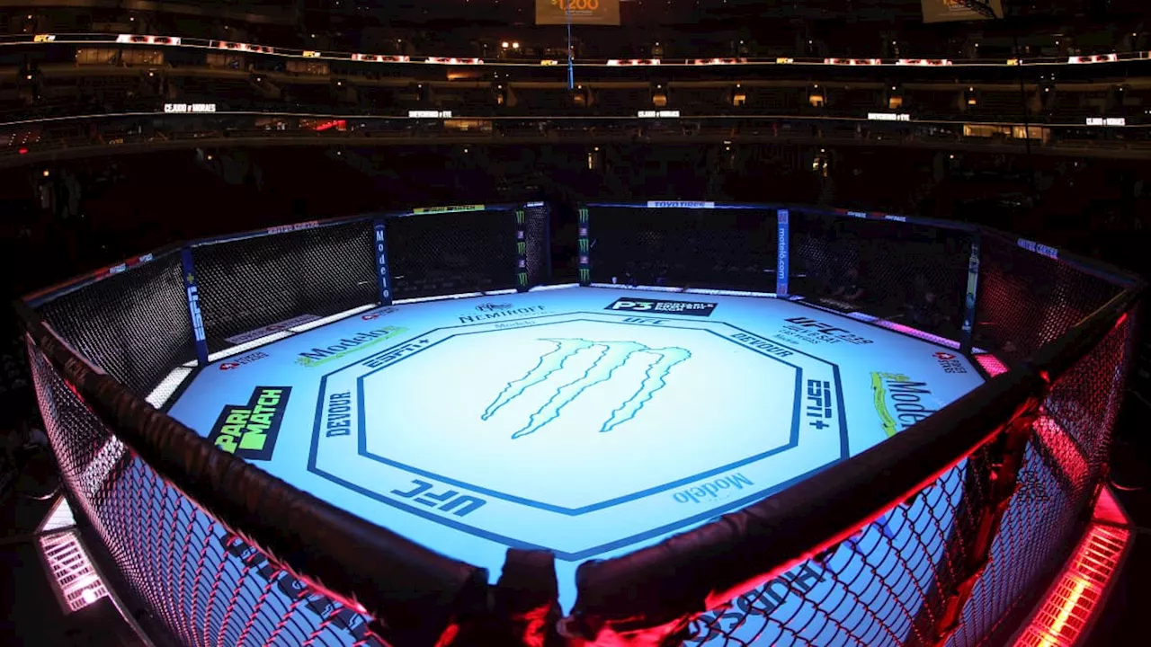 UFC Paris 2024: pourquoi les combats de MMA ont eu lieu dans un octogone