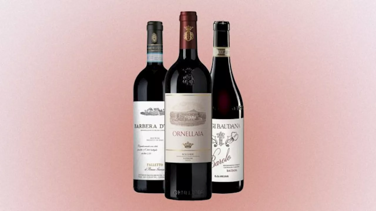 The 7 Best Italian Reds to Drink This Fall