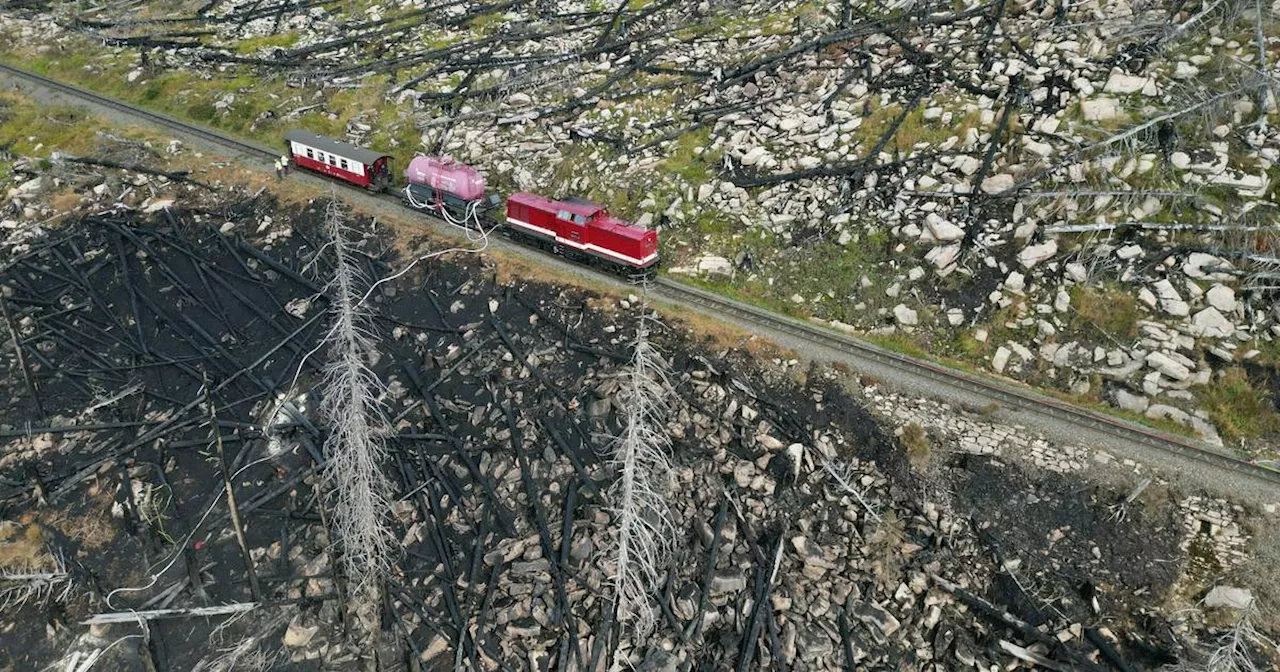 Brockenbrand: Rund 17 Hektar Wald im Harz vernichtet