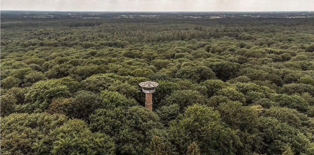 Klever Kreistag stimmt gegen Nationalpark Reichswald