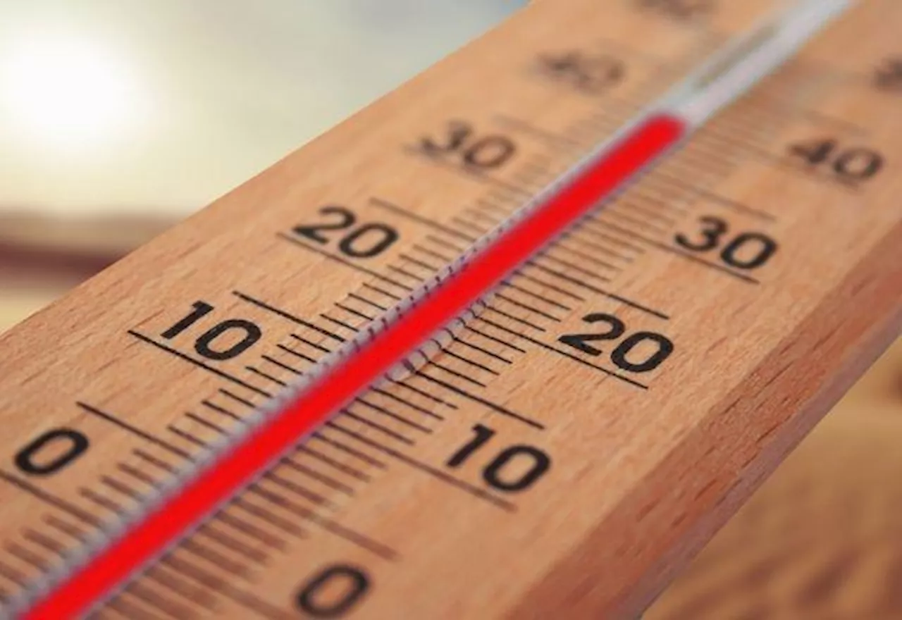 Termômetros batem 36,8°C e cidade de SP registra novo recorde de calor