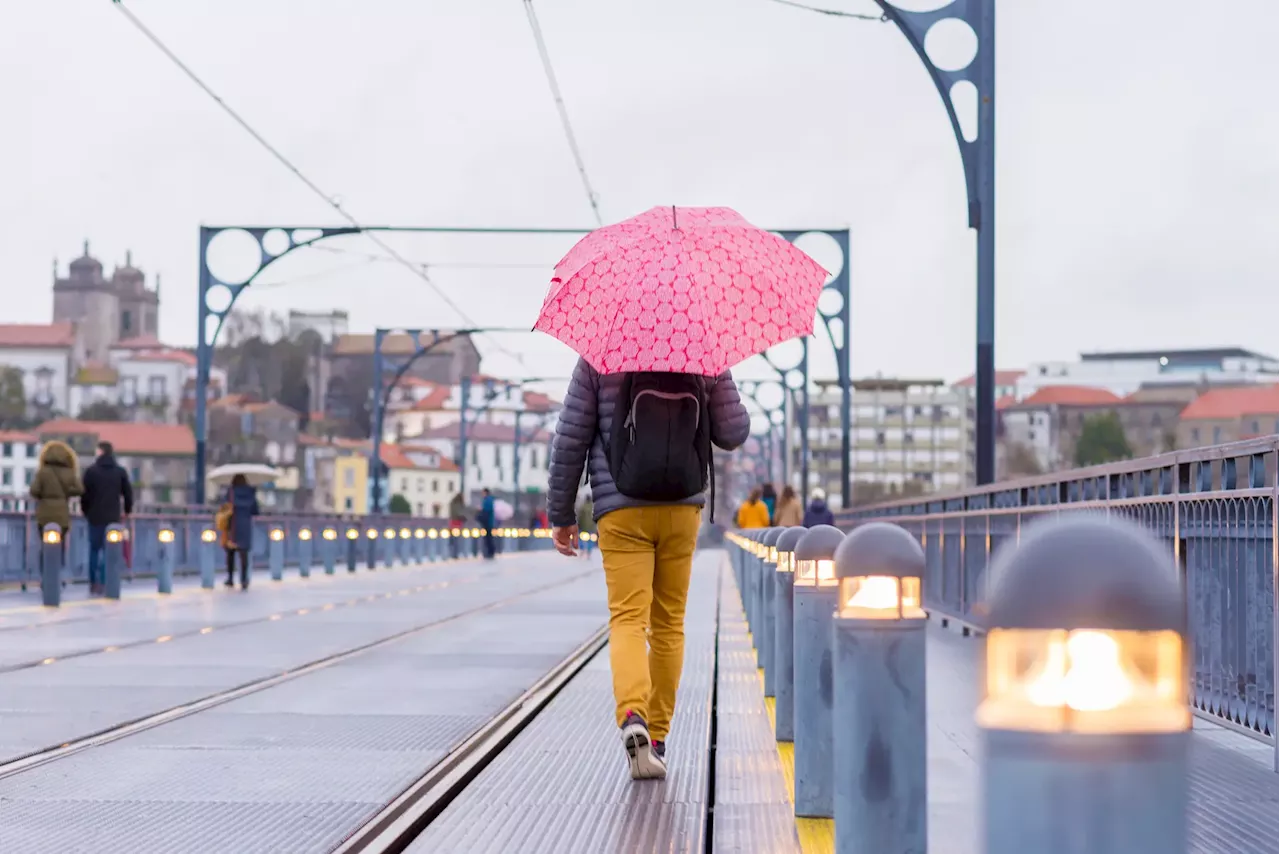 Proteção Civil registou quase 500 ocorrências até às 10:00 devido à chuva e vento forte