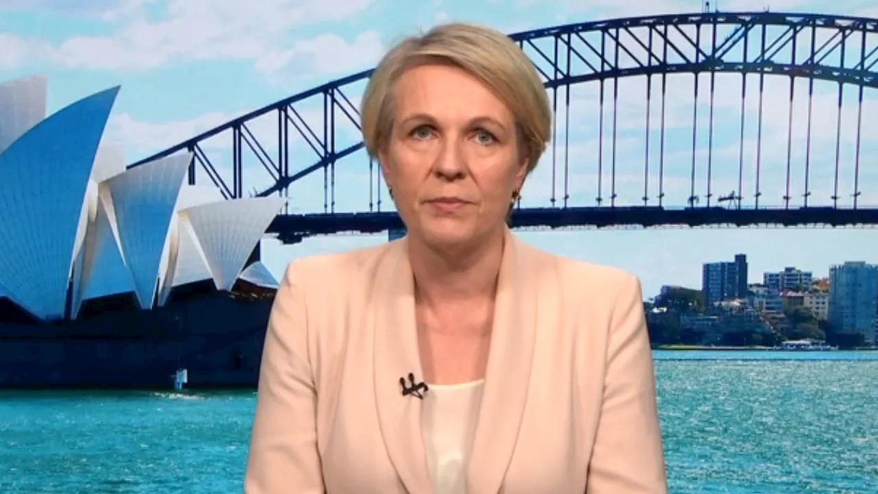 ‘Not a party of environmentalists anymore’: Plibersek hits out at the Greens