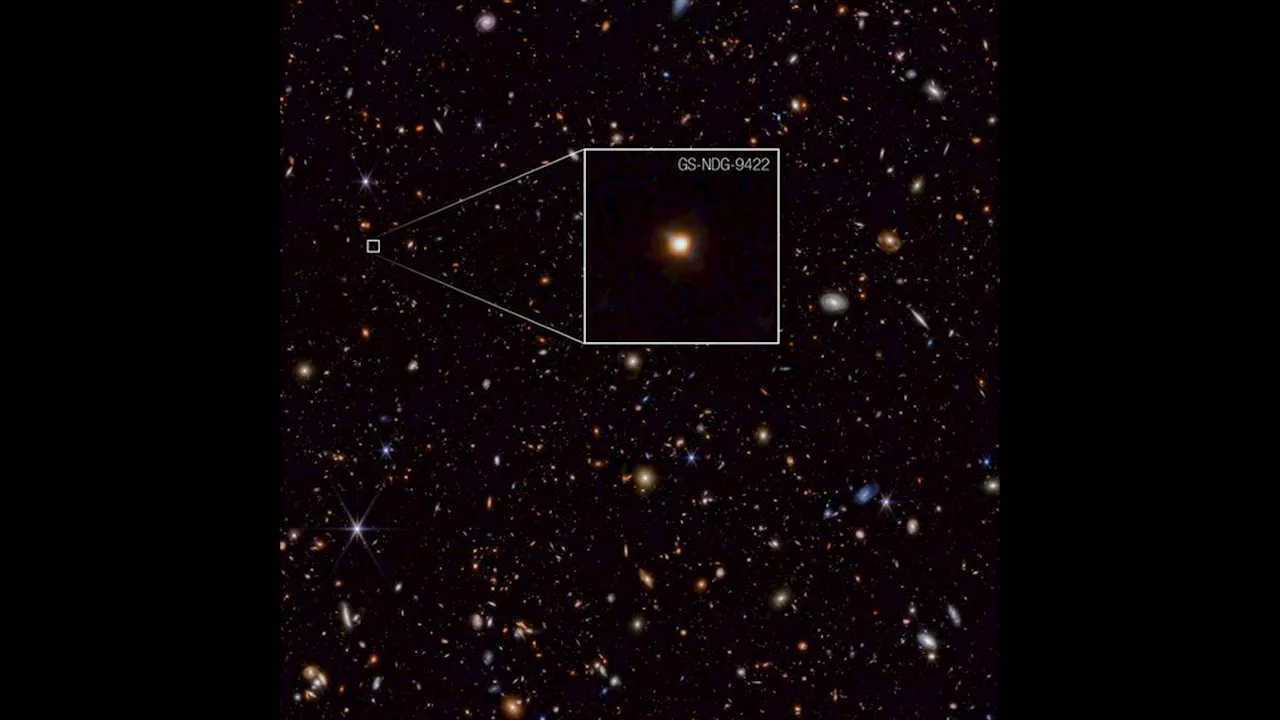 'That's weird': James Webb Space Telescope spies a strange galaxy outshining its stars