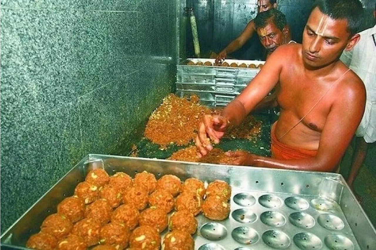 Controversy after beef tallow, lard found in laddus offered by temple in India, but devotees unfazed