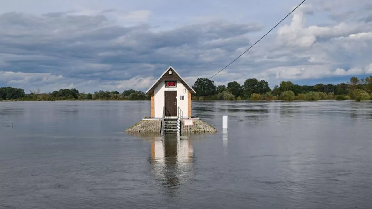 Überflutungen: Hochwasser hält Oder-Regionen in Alarmbereitschaft