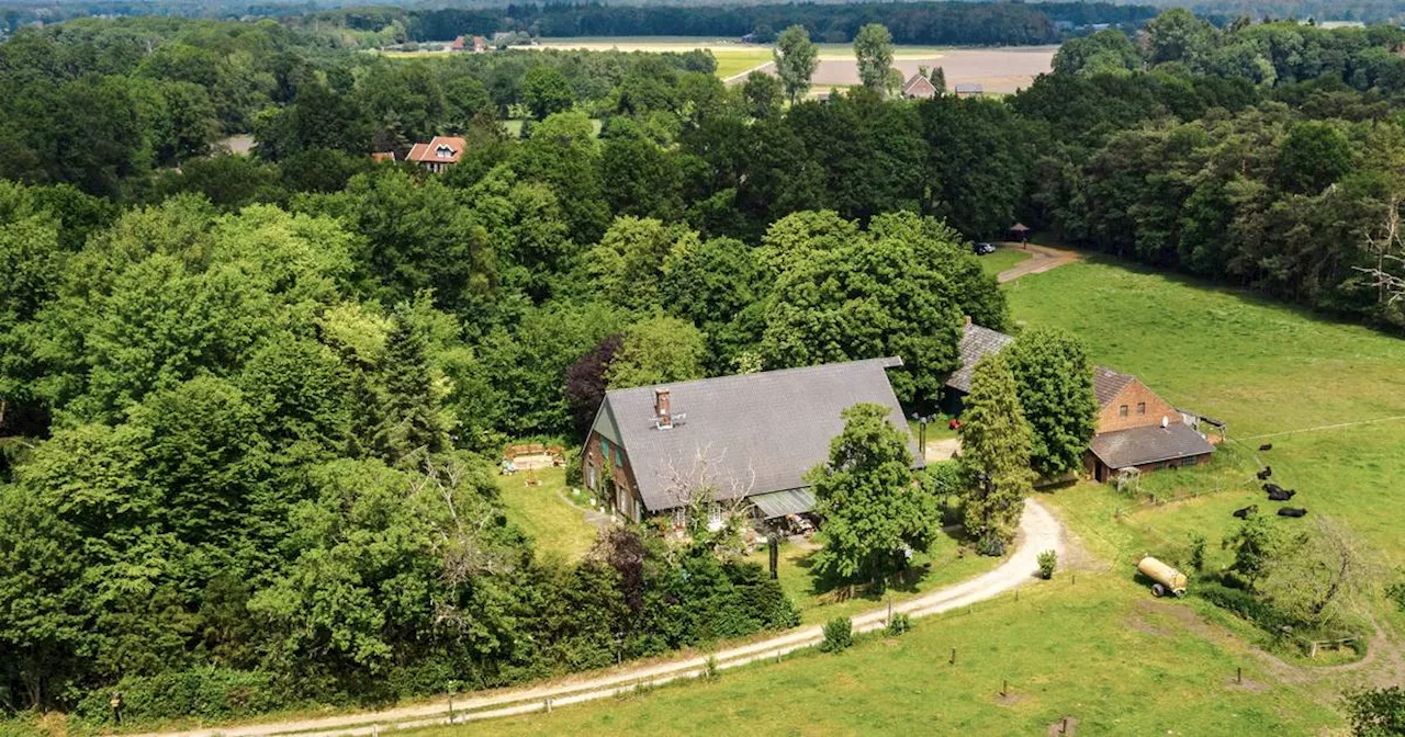 Sommerhaus der Stars: So einfach kann das Haus in Bocholt gemietet werden