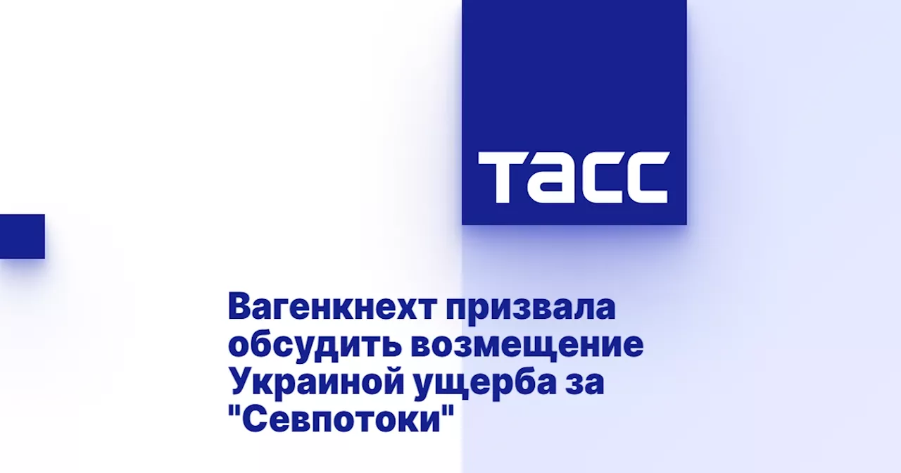 Депутат Бундестага: Необходимо прекратить поставки оружия Украине, если подтвердится ее виновность в подрыве 'Северных потоков'