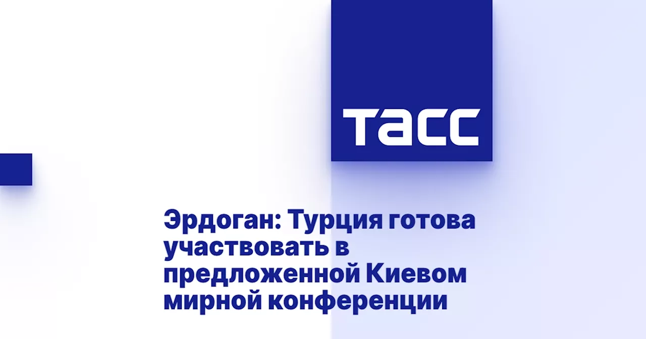 Эрдоган: Турция готова участвовать в предложенной Киевом мирной конференции