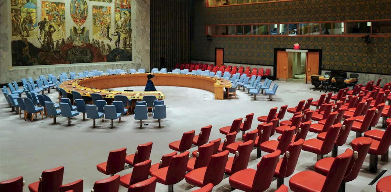 UN security council: African countries face hurdles and dangers in getting permanent seats