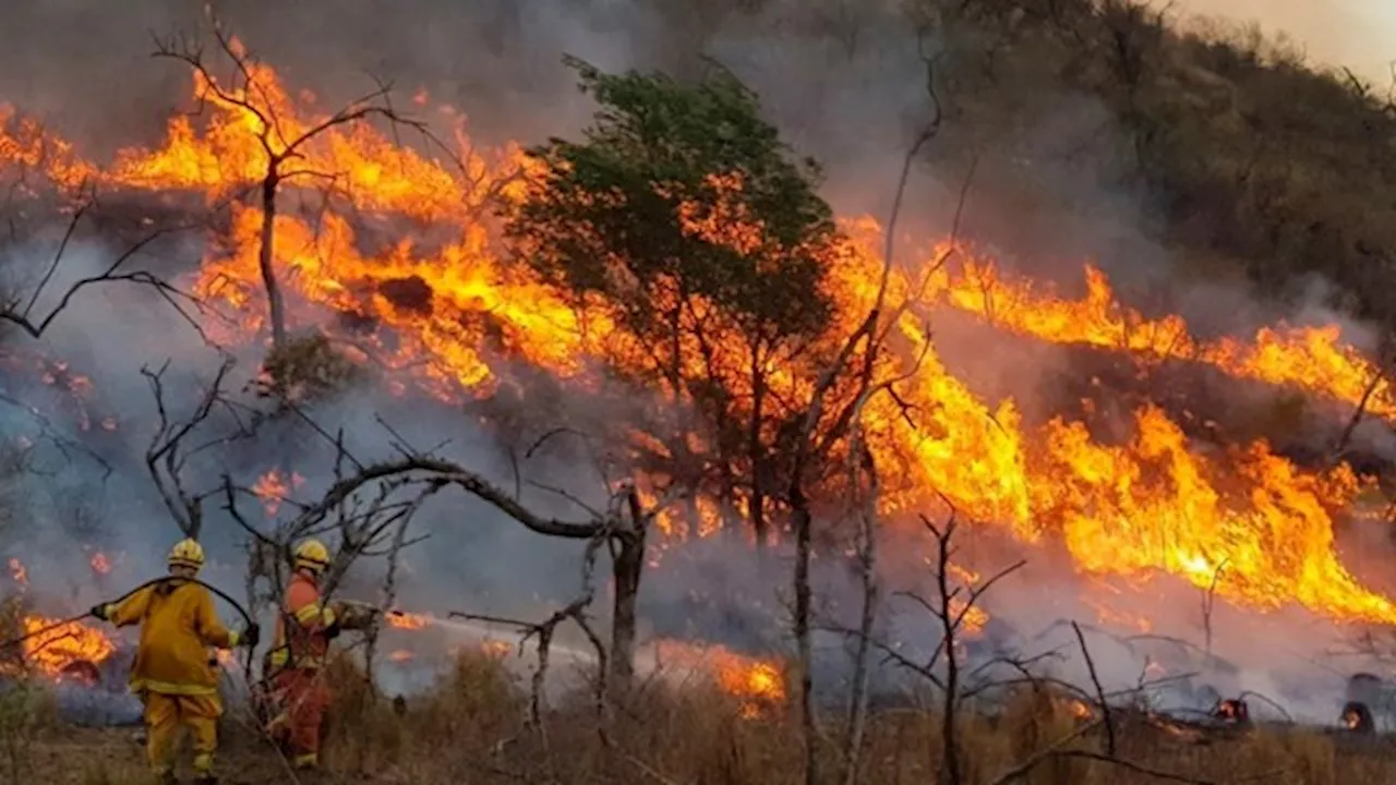 Di Tullio denuncia la falta de apoyo del gobierno ante los incendios en Córdoba