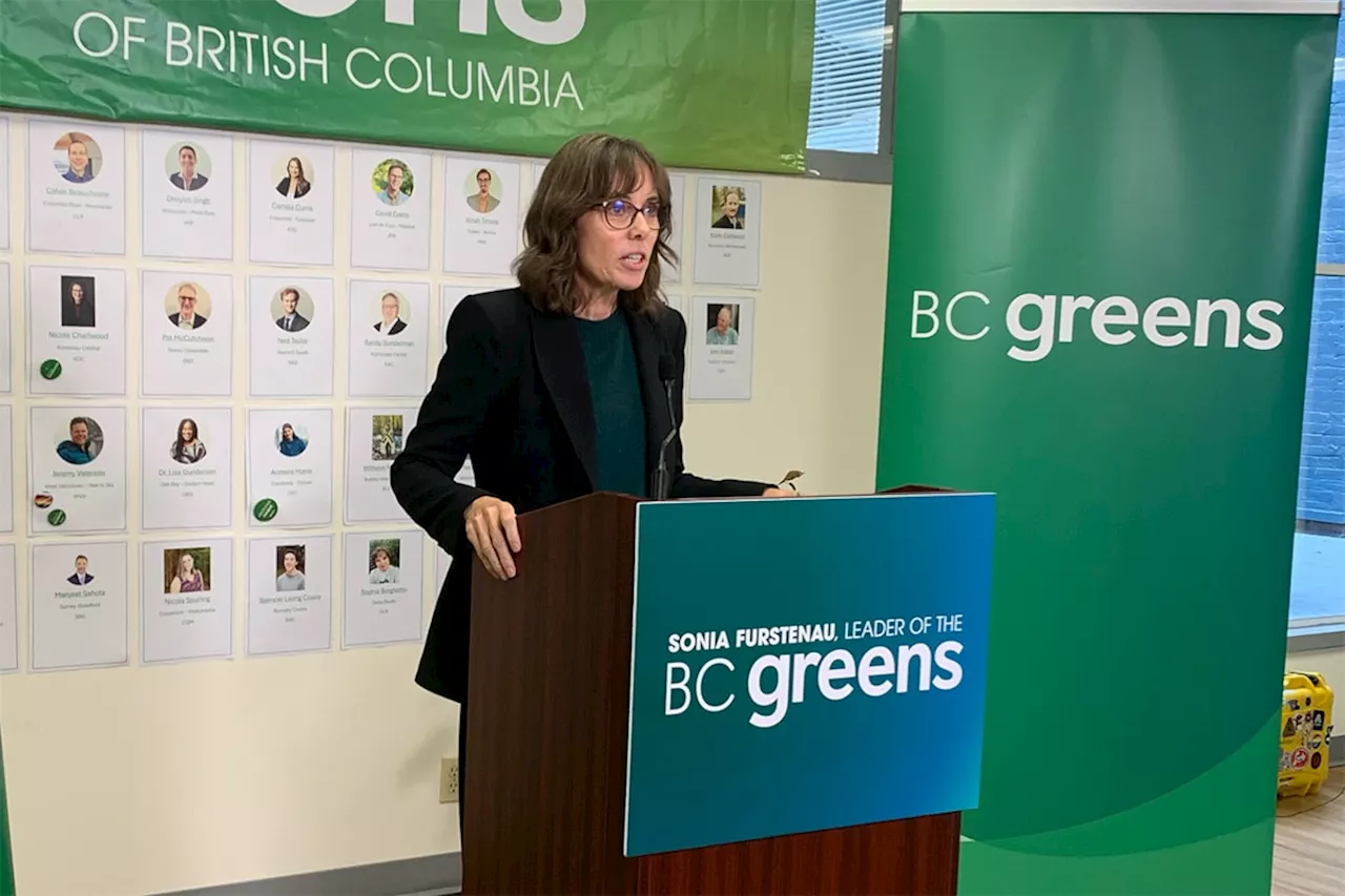 Higher taxes for big polluters, more rebates for you, B.C. Greens promise