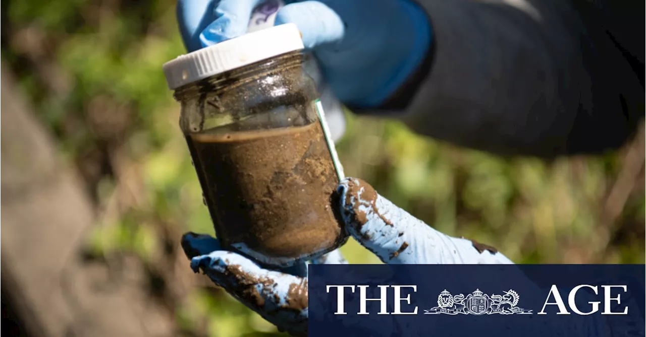 NSW parliament to hold ‘forever chemicals’ inquiry after drinking water contamination