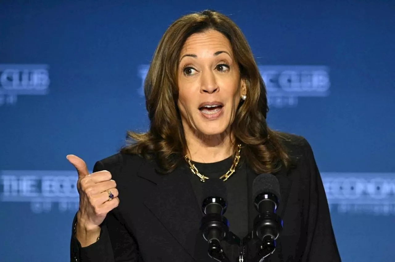 Harris: Trump 'biggest loser' on US economy