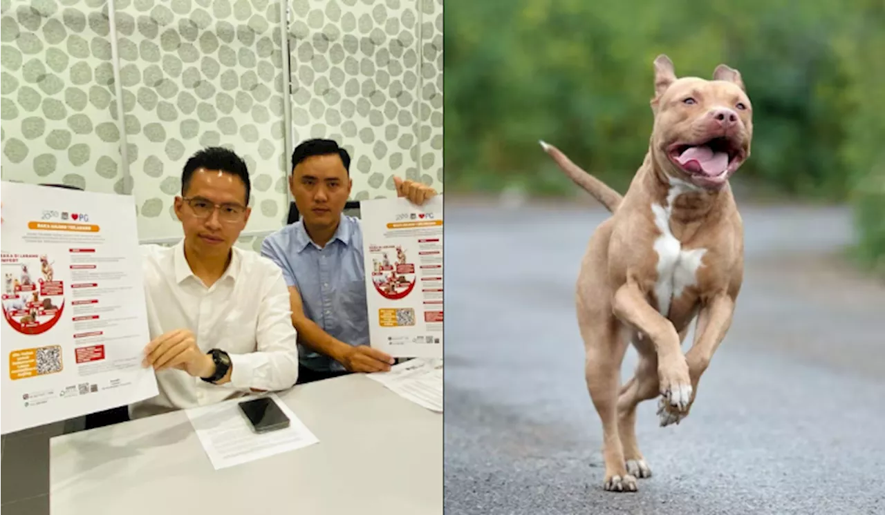 Pulau Pinang Bakal Denda RM200 Jika Bela Baka Anjing Terlarang