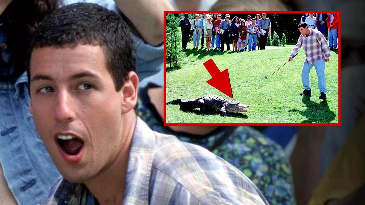 'Happy Gilmore' Alligator Open To Role In Sequel