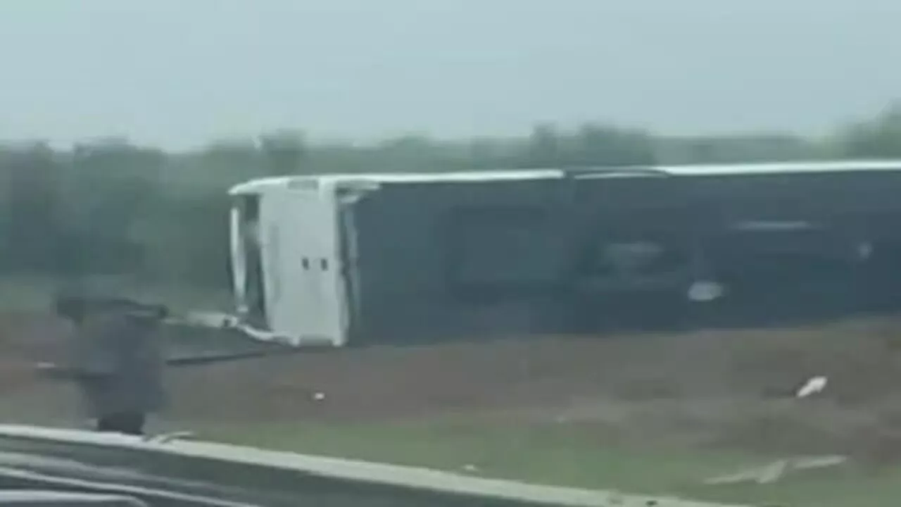 Piove troppo: l'autobus con i turisti italiani sbanda, esce di strada e si ribalta