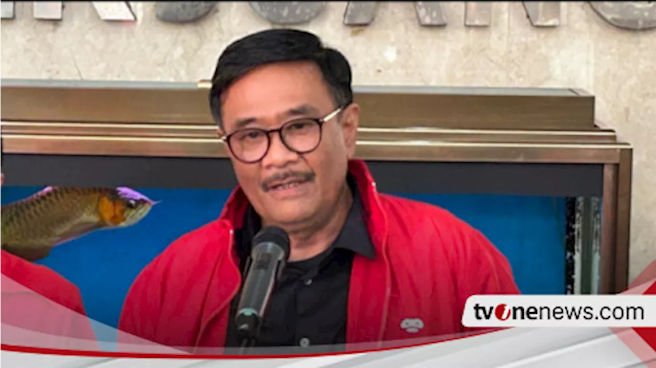 PDIP Tegaskan Pemecatan Tia Rahmania Bukan karena Kritik Pimpinan KPK