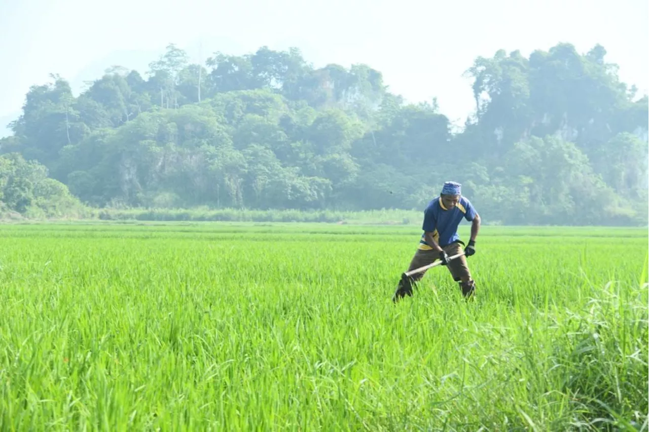 Malaysia fasa peralihan monsun hingga musim bah November