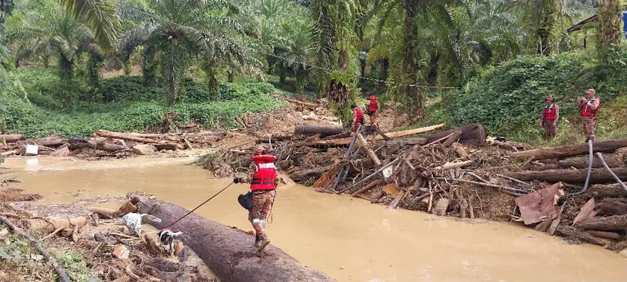 SAR cari dua beradik dua tahun, bayi dua bulan dihanyut kepala air