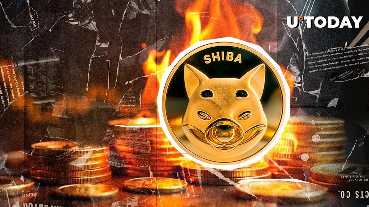 Shiba Inu (SHIB) Burn Rate Shoots up 647% as Price Rallies 13%