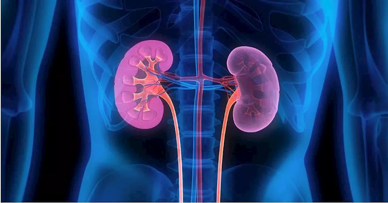 kidney health: આ 5 આદતોથી કિડની થઈ શકે છે ખરાબ, શું તમે પણ નથી કરી રહ્યાને આ ભૂલો?