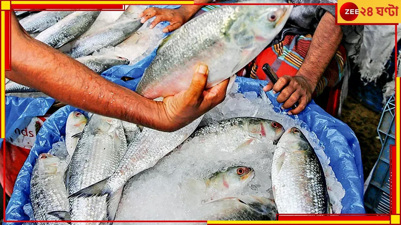 এসব শর্তে ভারতে ২ হাজার ৪২০ টন ইলিশ রপ্তানির অনুমতি