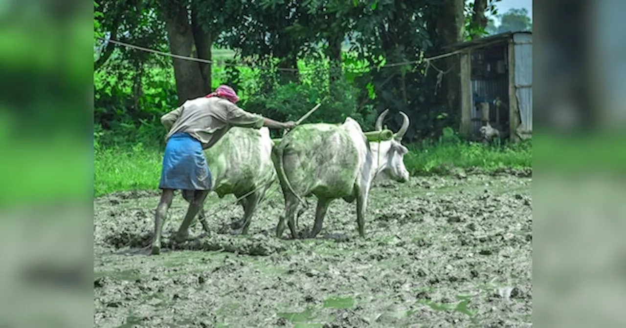 PM Kisan: करोड़ों क‍िसानों को म‍िलेगा नवरात्र‍ि का तोहफा, इस द‍िन खाते में आएंगे 2000 रुपये