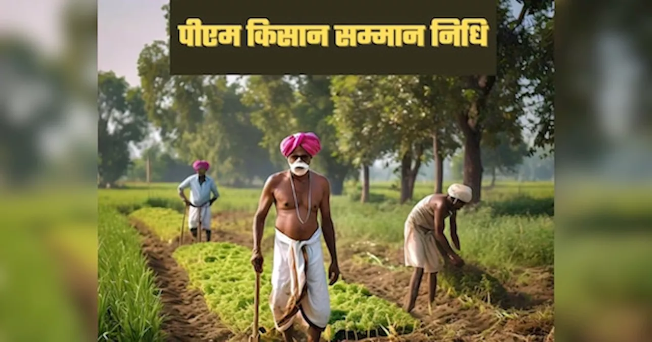 PM Kisan 18th Installment: इस तारीख को आएगी पीएम किसान 18वीं किस्त, 2000 रुपये मिलेंगे या नहीं ऐसे करें चेक