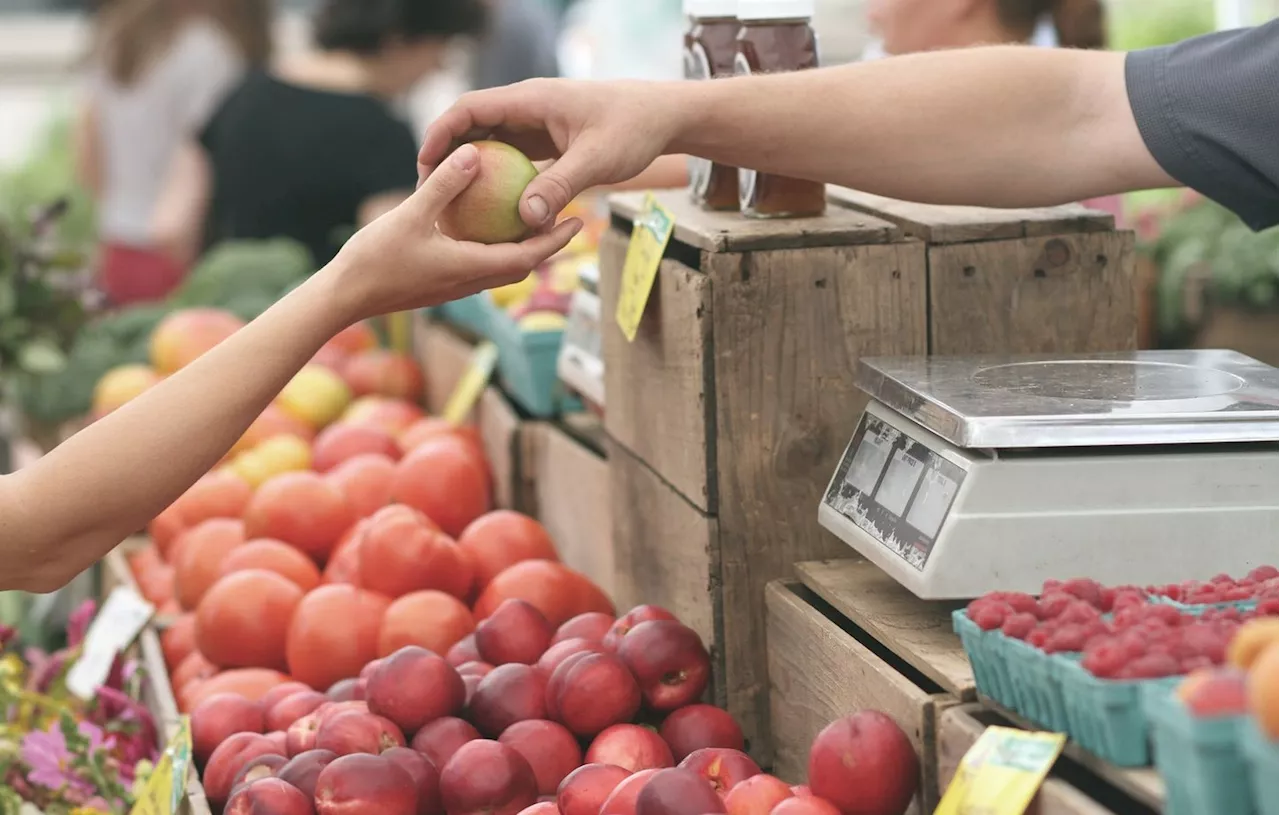 Val-d’Oise : Contrôle sanitaire surprise dans un marché, 210 kg de marchandise saisis et détruits