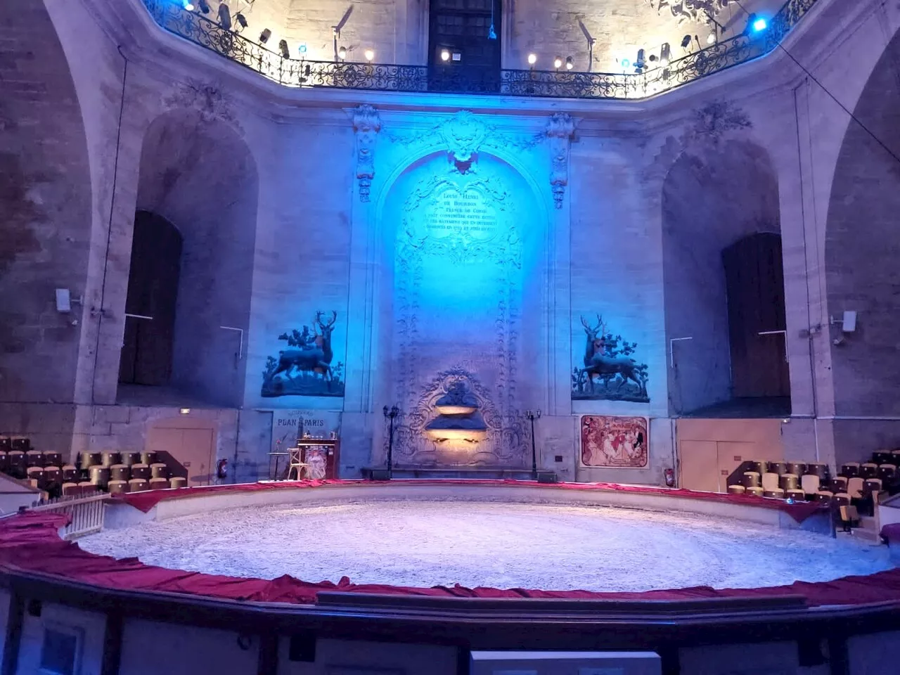 Les Grandes écuries de Chantilly préparent un spectacle enchanteur pour Noël