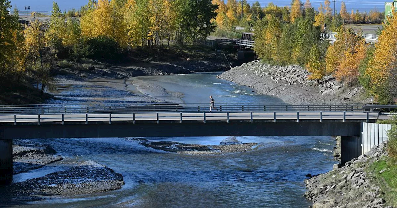 Concern grows among fishermen and scientists about low silver salmon returns in Cook Inlet