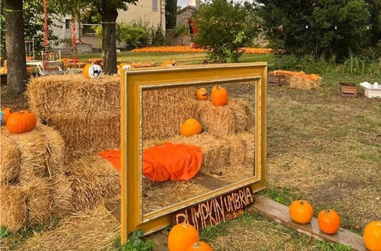 Spoleto se pinta de naranja para celebra sus calabazas