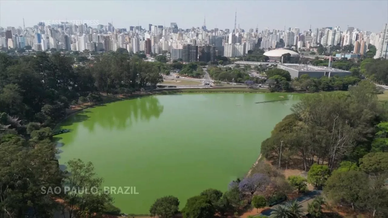 Brazilian lake is shocking park visitors with its bright green transformation