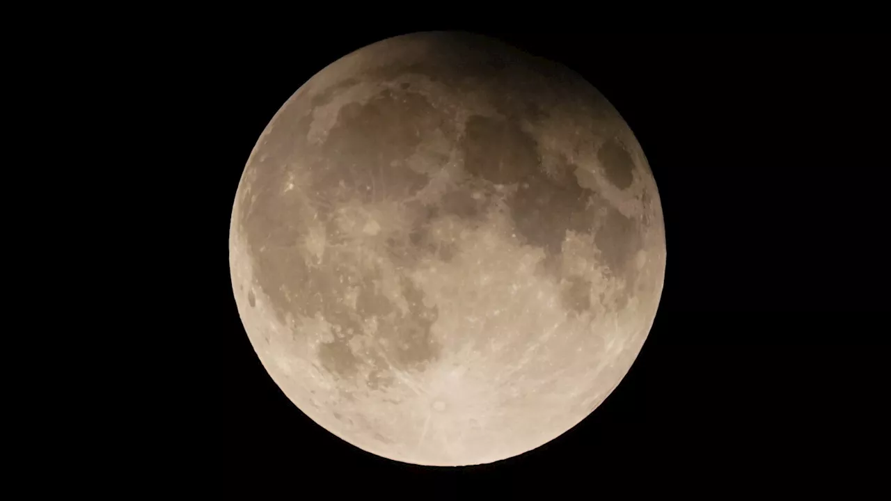 Mini Moon, An Asteroid About Size Of School Bus, To Orbit Earth For Two Months