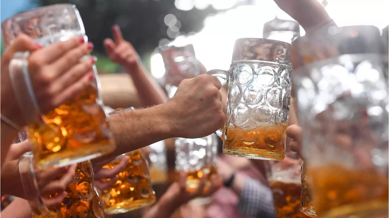 Einblicke eines Wiesn-Spülers: Hinter den Kulissen des Paulaner-Zelts