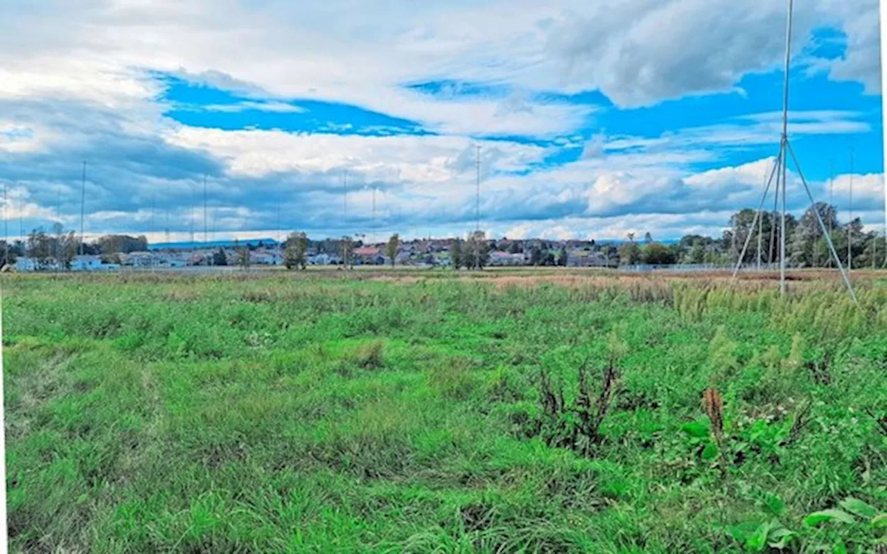 Bauen oder importieren – Micarna kämpft um Geflügelschlachthof